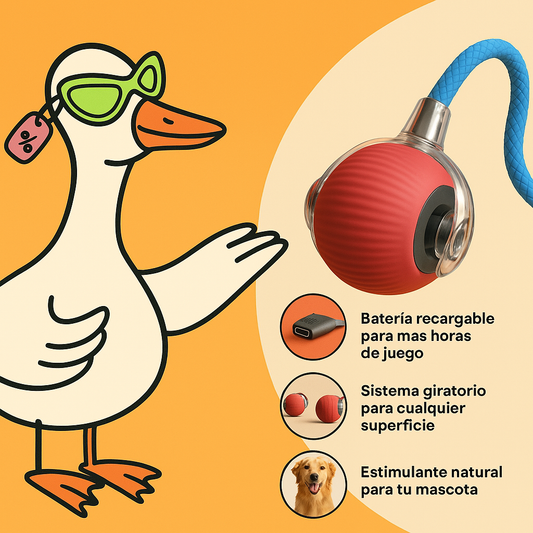 Happy-Ball + eBook-Recetas fáciles para tu mascota