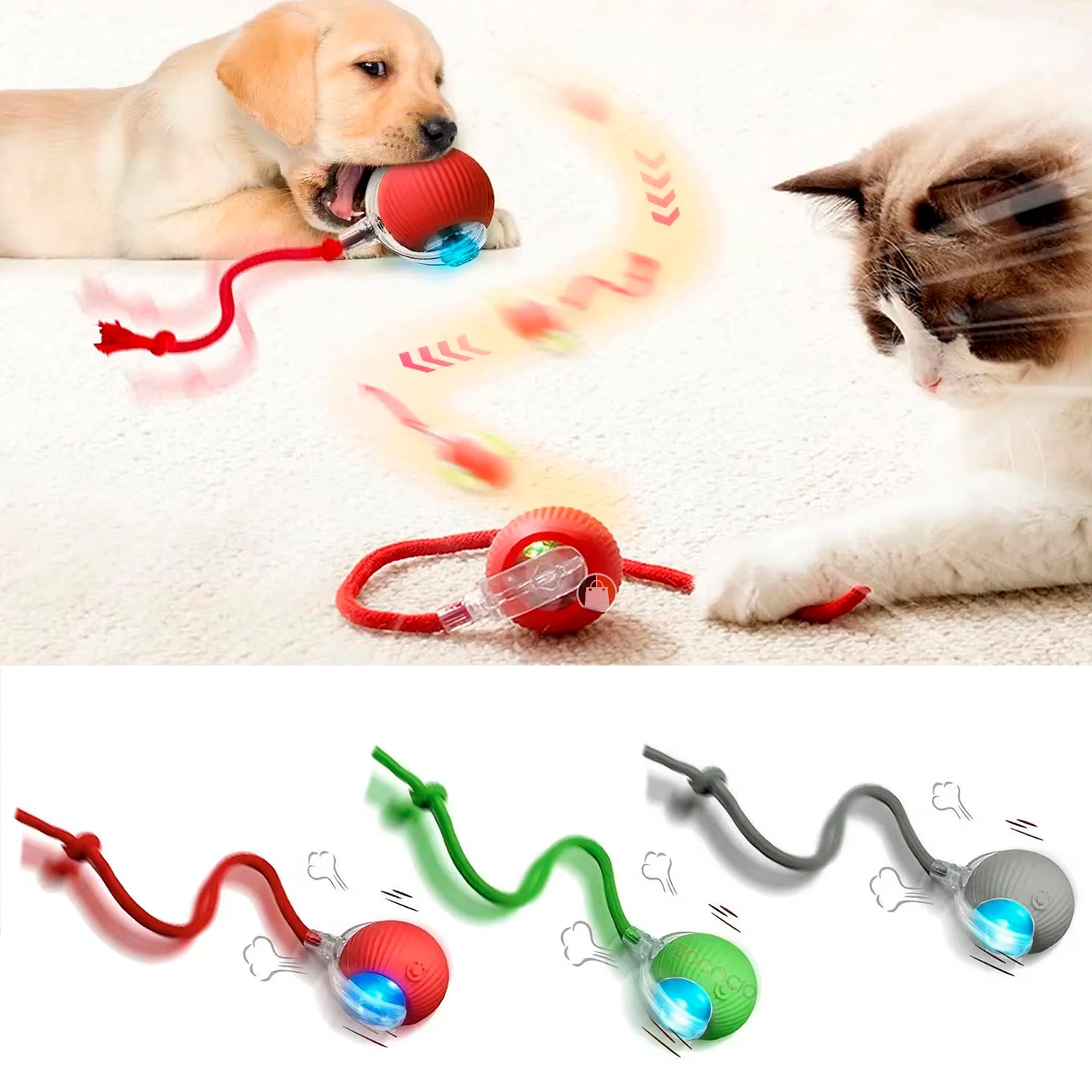 Happy-Ball + eBook-Recetas fáciles para tu mascota
